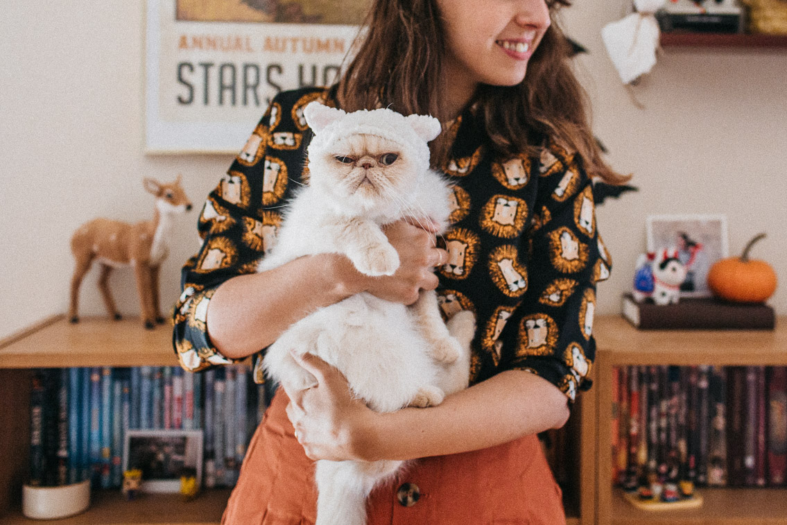 Halloween 2019 home decor - The cat, you and us