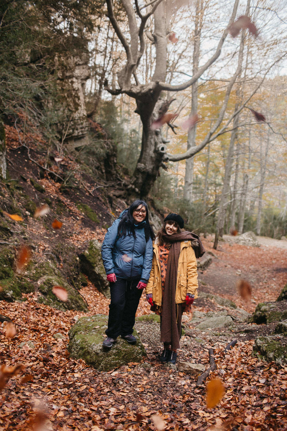 Fageda del Retaule - The cat, you and us