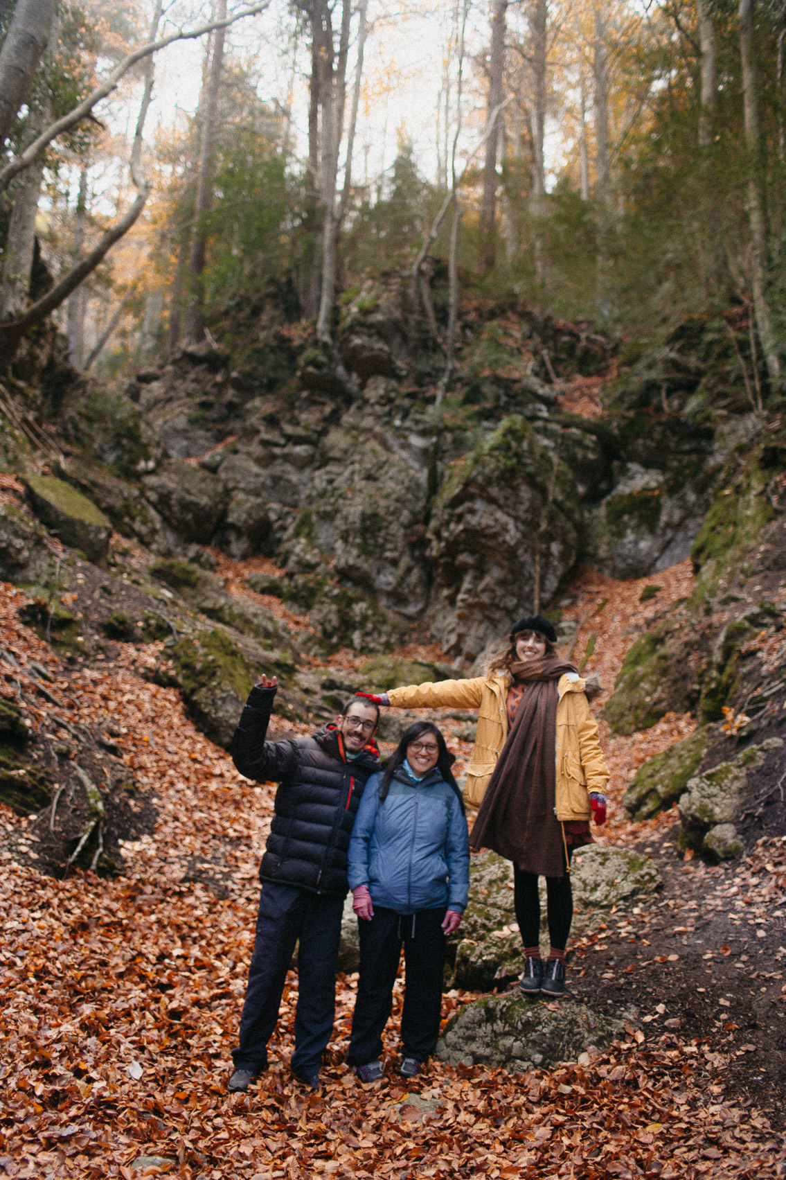 Fageda del Retaule - The cat, you and us