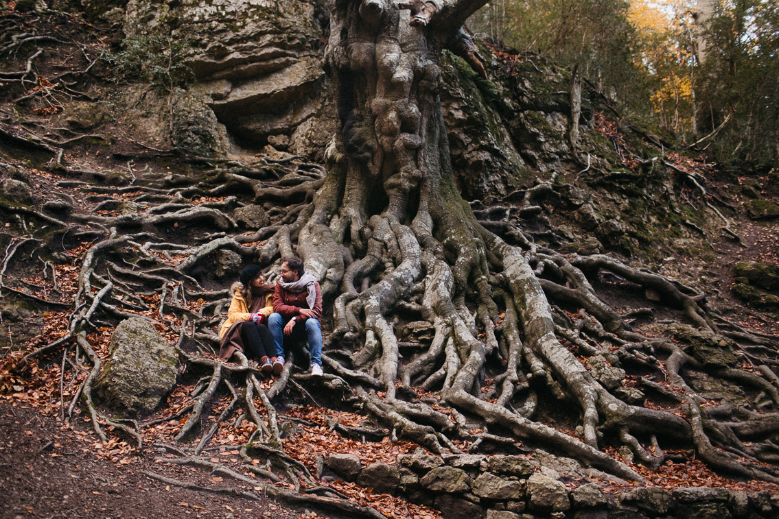 Fageda del Retaule - The cat, you and us