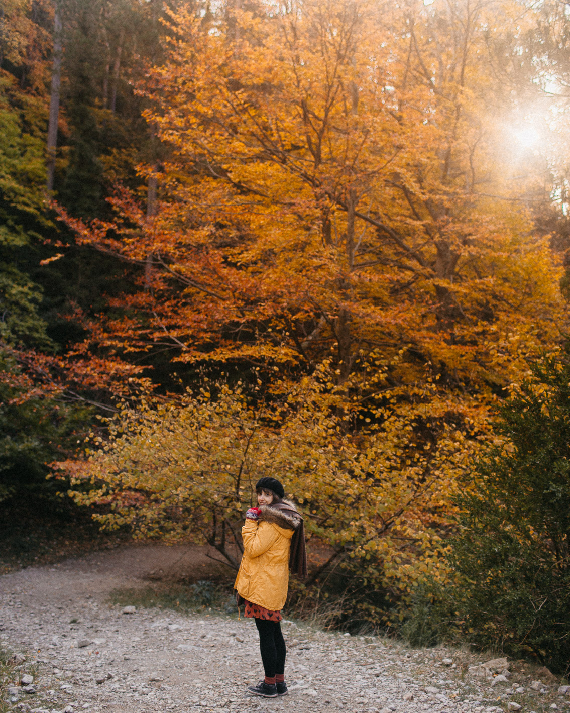 Fageda del Retaule - The cat, you and us