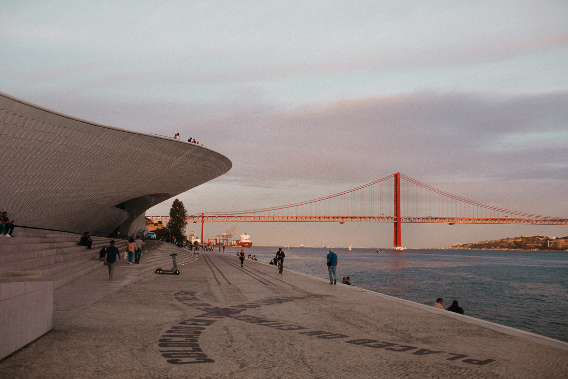 MAAT Lisbon - The cat, you and us