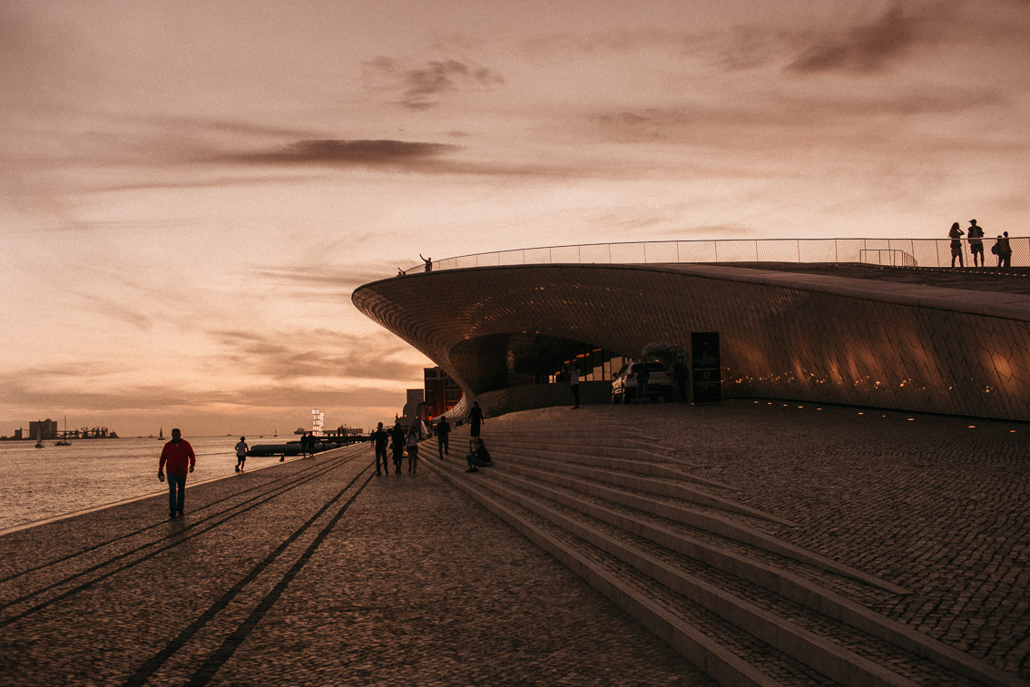 MAAT Lisbon - The cat, you and us