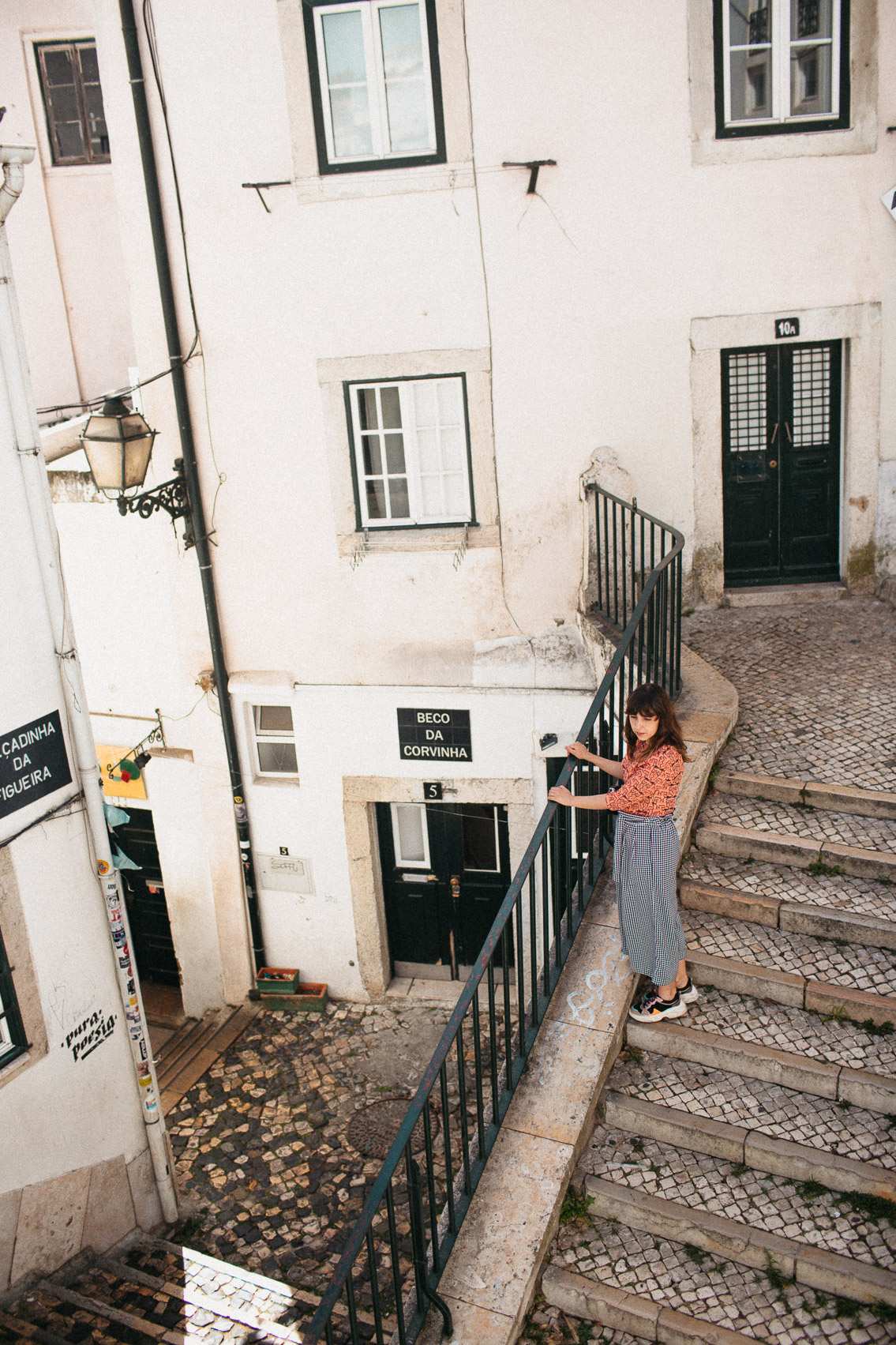 Alfama - The cat, you and us