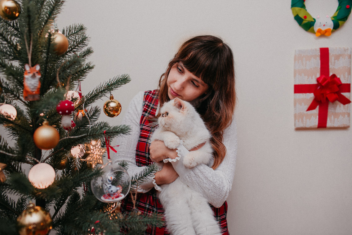 Christmas day - The cat, you and us