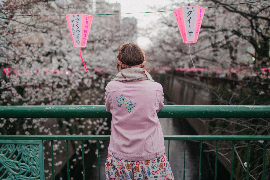 Sakura in Tokyo, Nakameguro