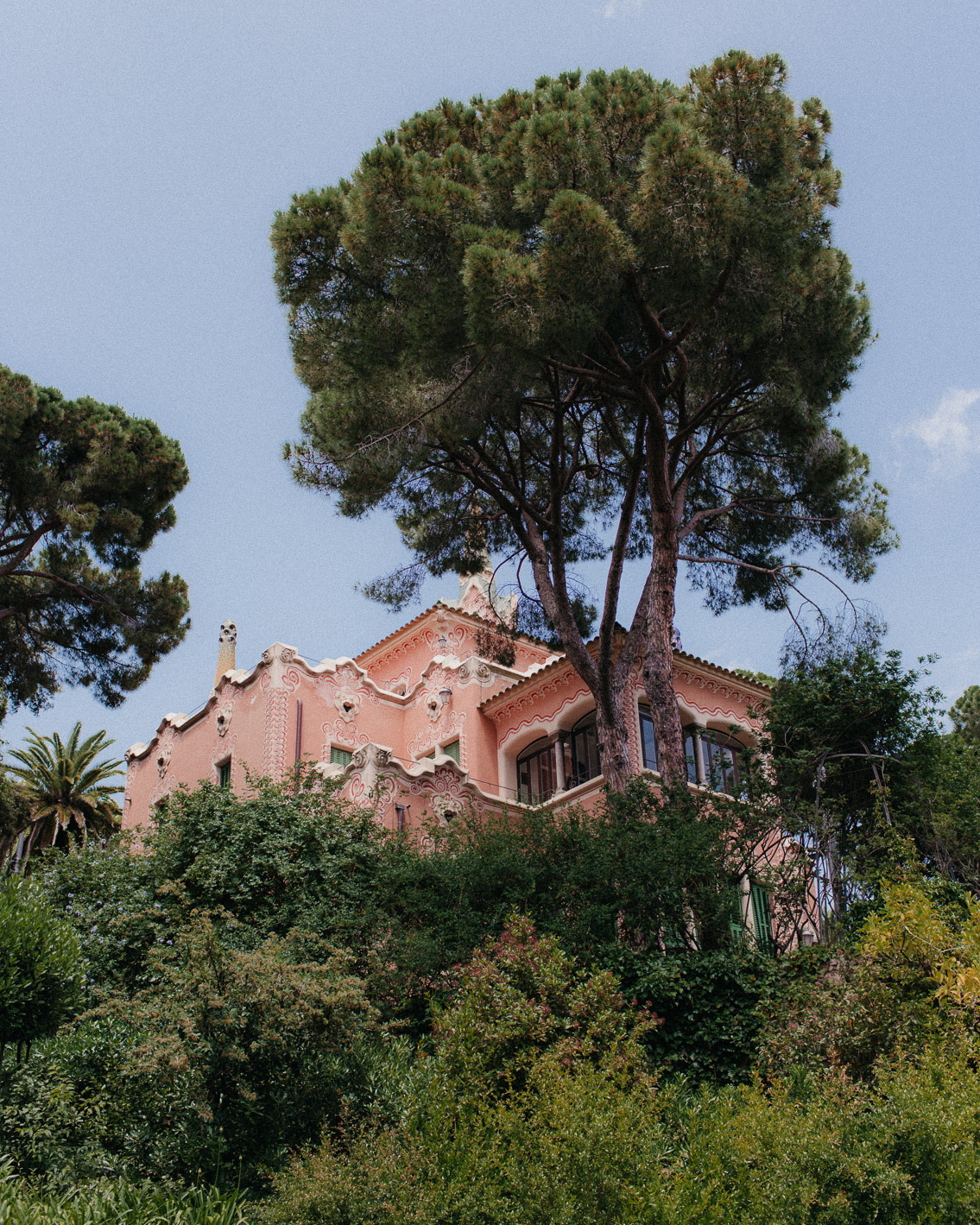 Park Guell Barcelona 2020 - The cat, you and us