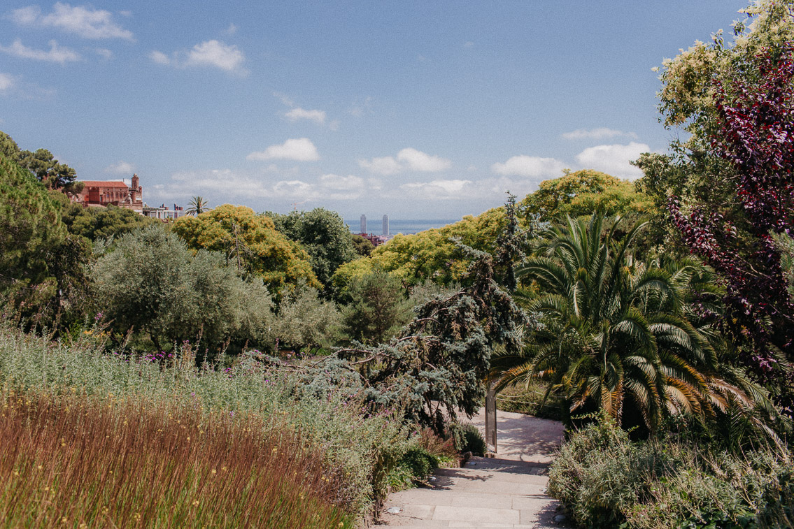 Park Guell Barcelona 2020 - The cat, you and us