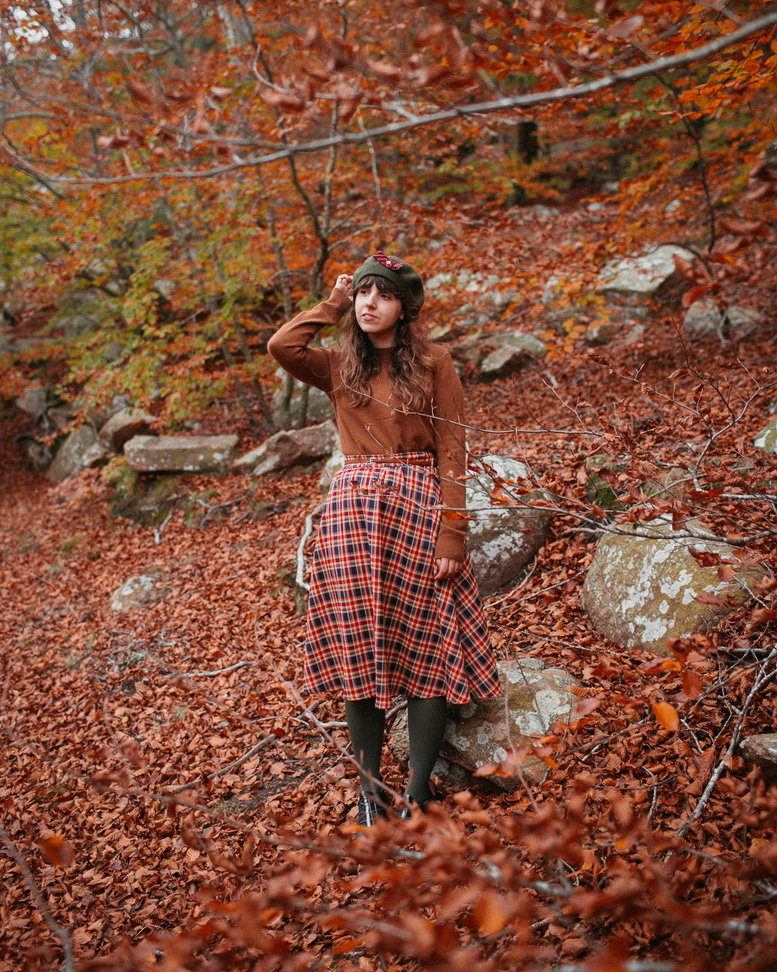 Montseny fall colors (otoño, tardor) - The cat, you and us