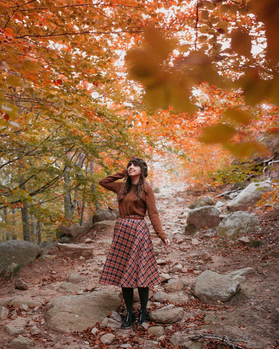 Montseny fall colors (otoño, tardor) - The cat, you and us