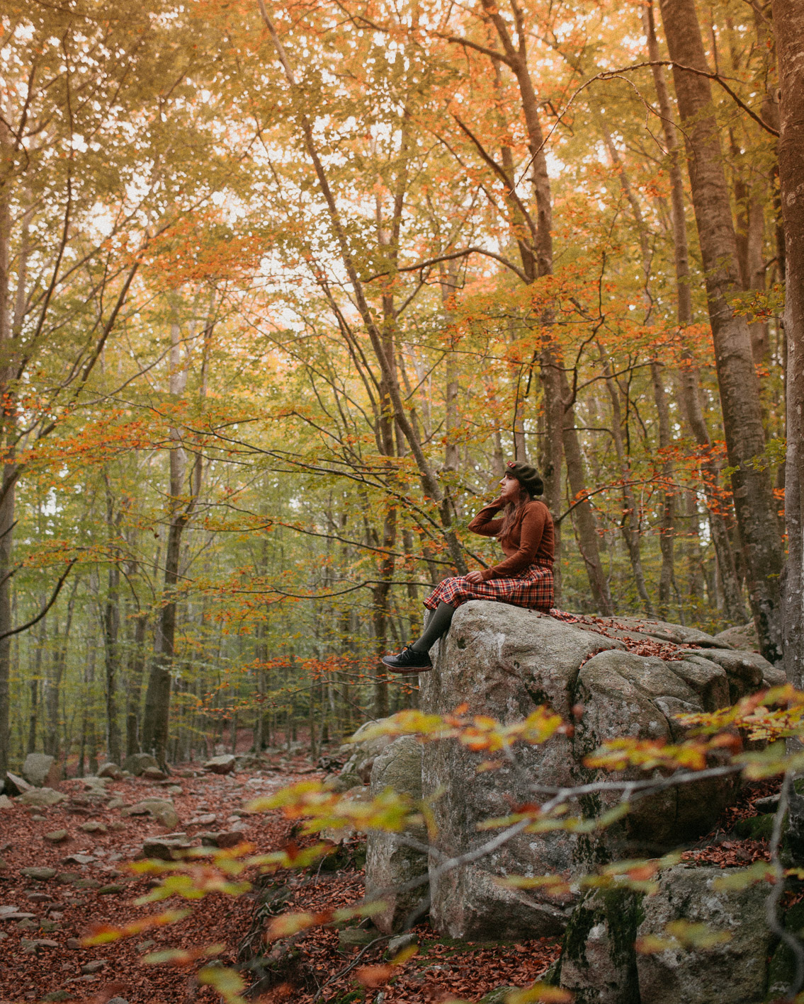 Montseny fall colors (otoño, tardor) - The cat, you and us