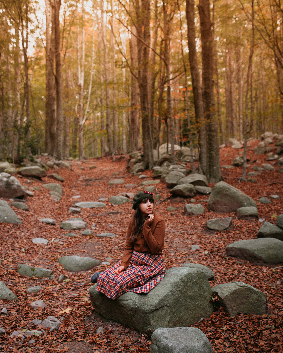 Montseny fall colors (otoño, tardor) - The cat, you and us