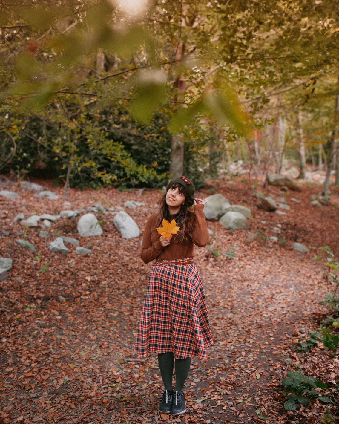 Montseny fall colors (otoño, tardor) - The cat, you and us