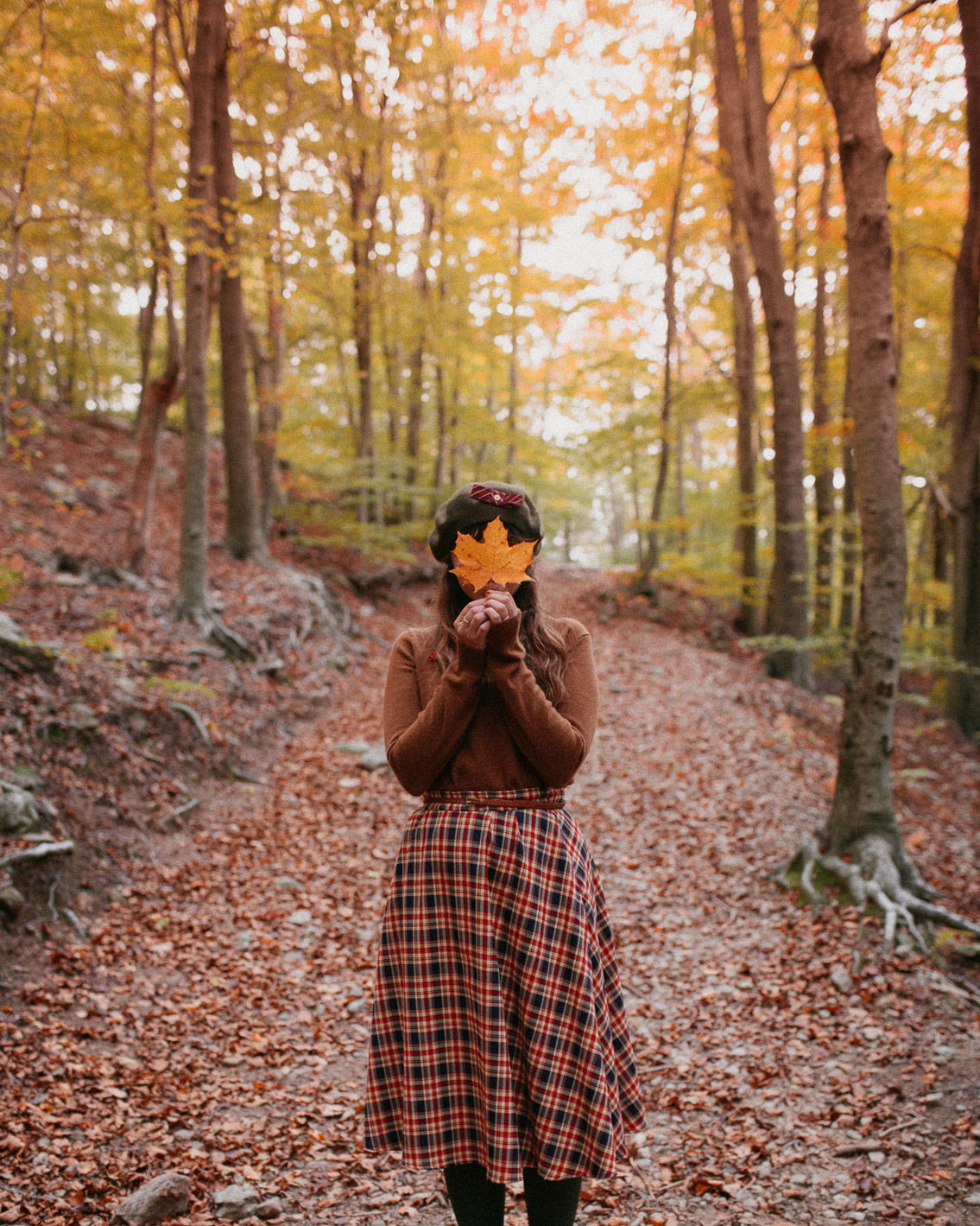 Montseny fall colors (otoño, tardor) - The cat, you and us