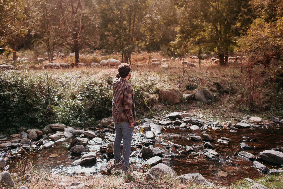 Montseny fall colors (otoño, tardor) - The cat, you and us