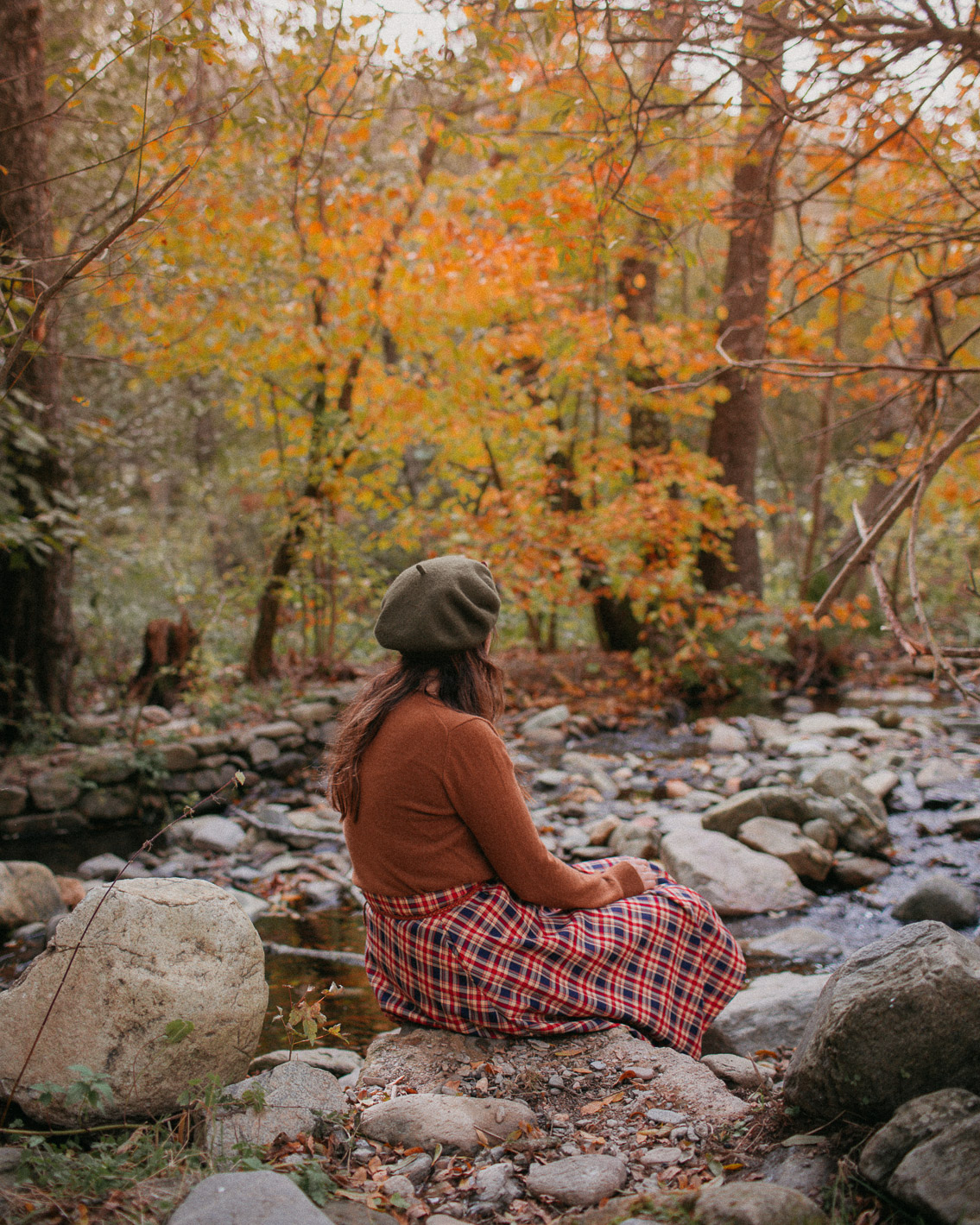 Montseny fall colors (otoño, tardor) - The cat, you and us