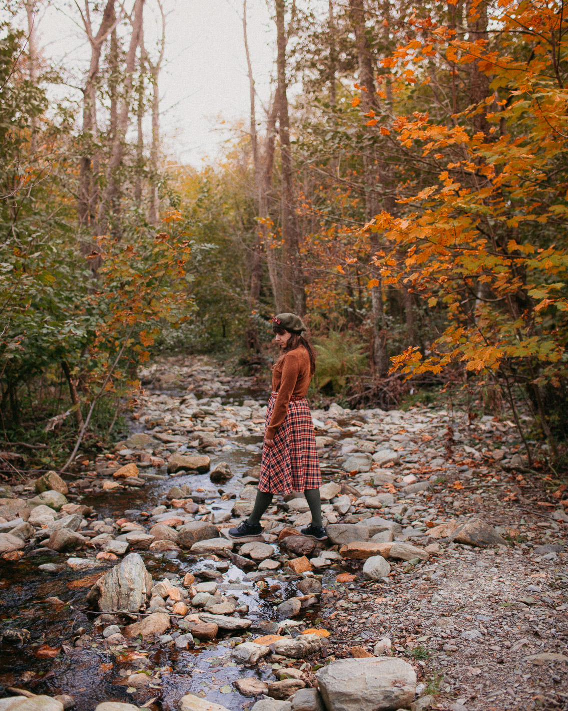 Montseny fall colors (otoño, tardor) - The cat, you and us