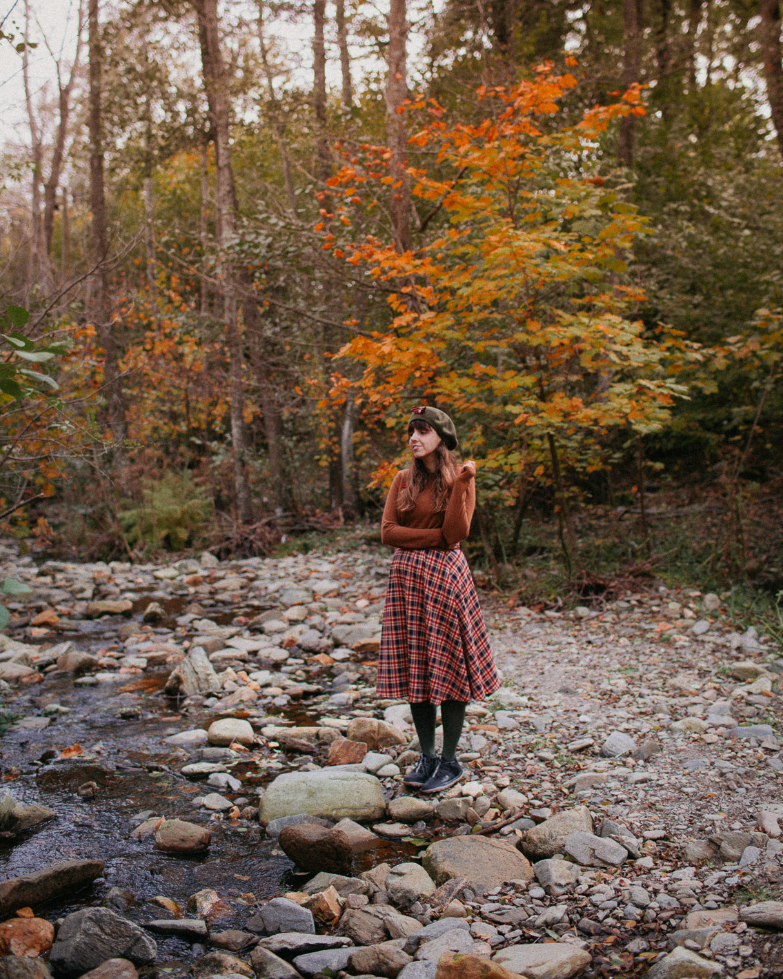 Montseny fall colors (otoño, tardor) - The cat, you and us