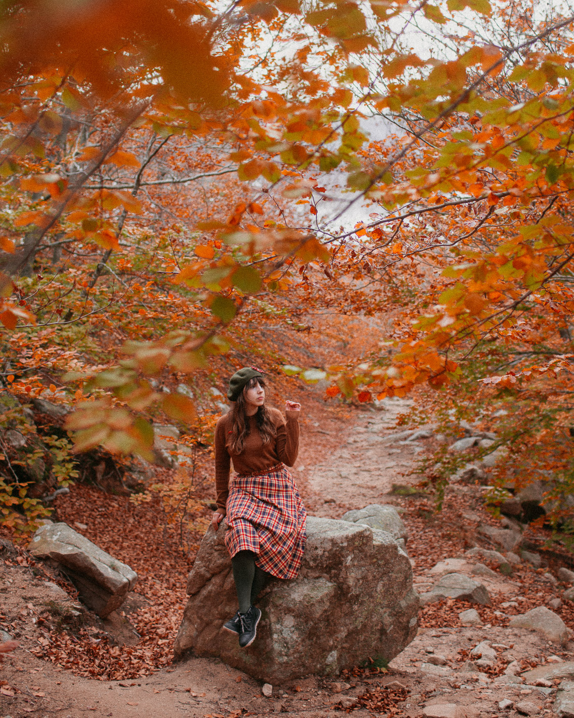 Montseny fall colors (otoño, tardor) - The cat, you and us