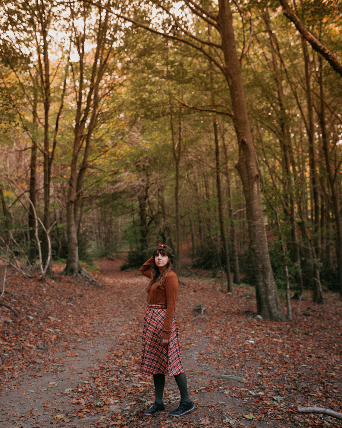 Montseny fall colors (otoño, tardor) - The cat, you and us