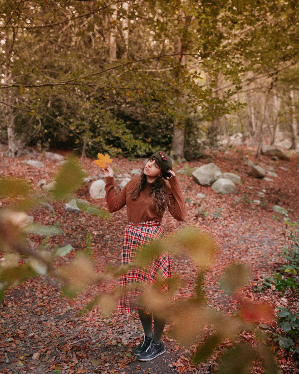 Montseny fall colors (otoño, tardor) - The cat, you and us