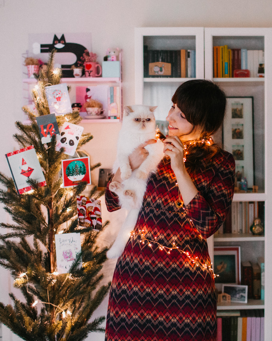 Christmas 2020 - The cat, you and us