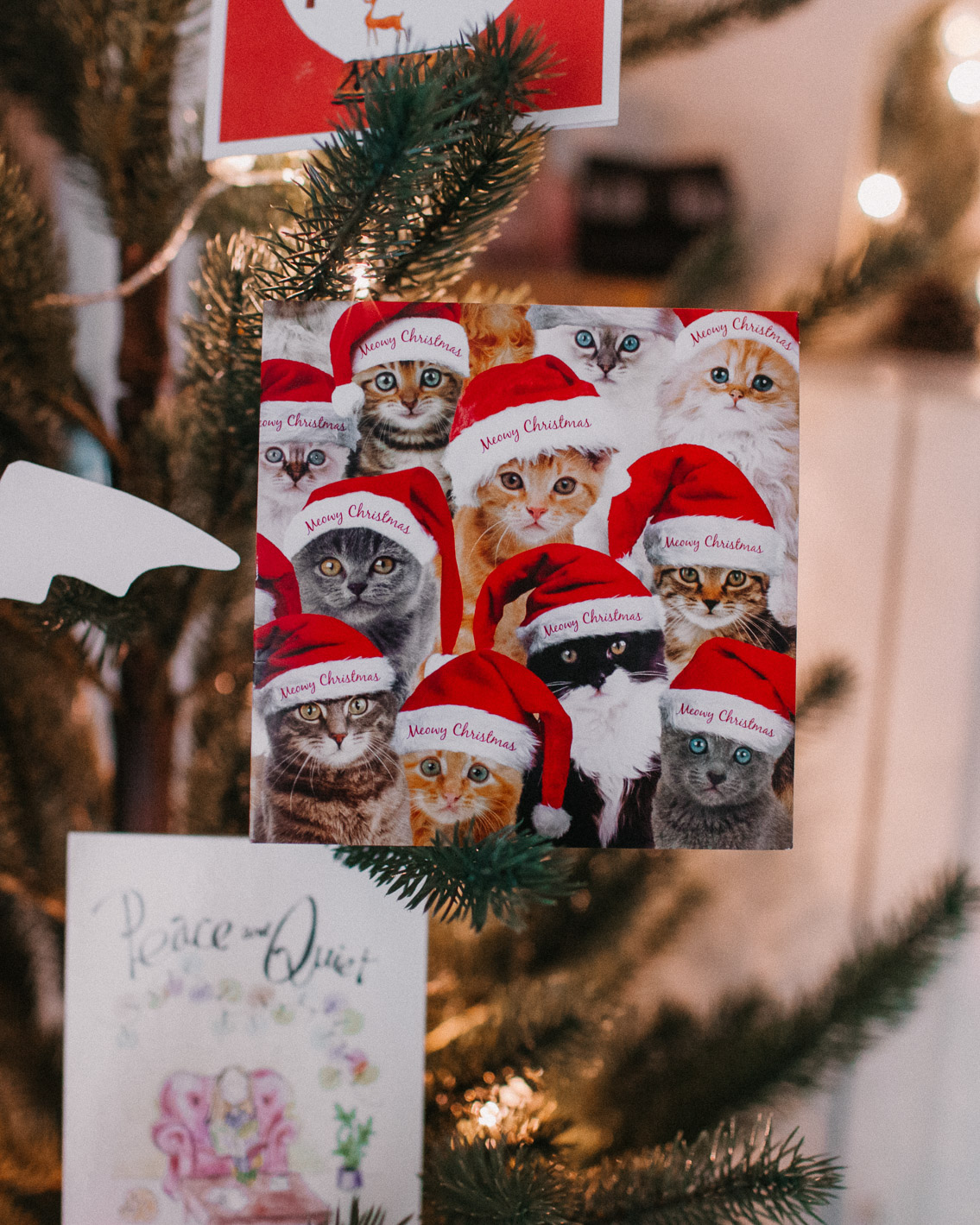 Christmas postcards 2020 - The cat, you and us