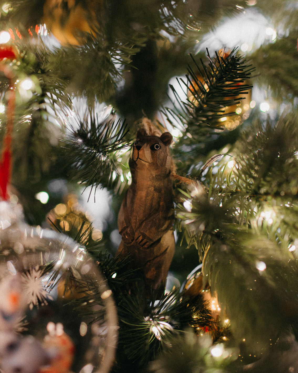 Christmas 2020 home decor - The cat, you and us