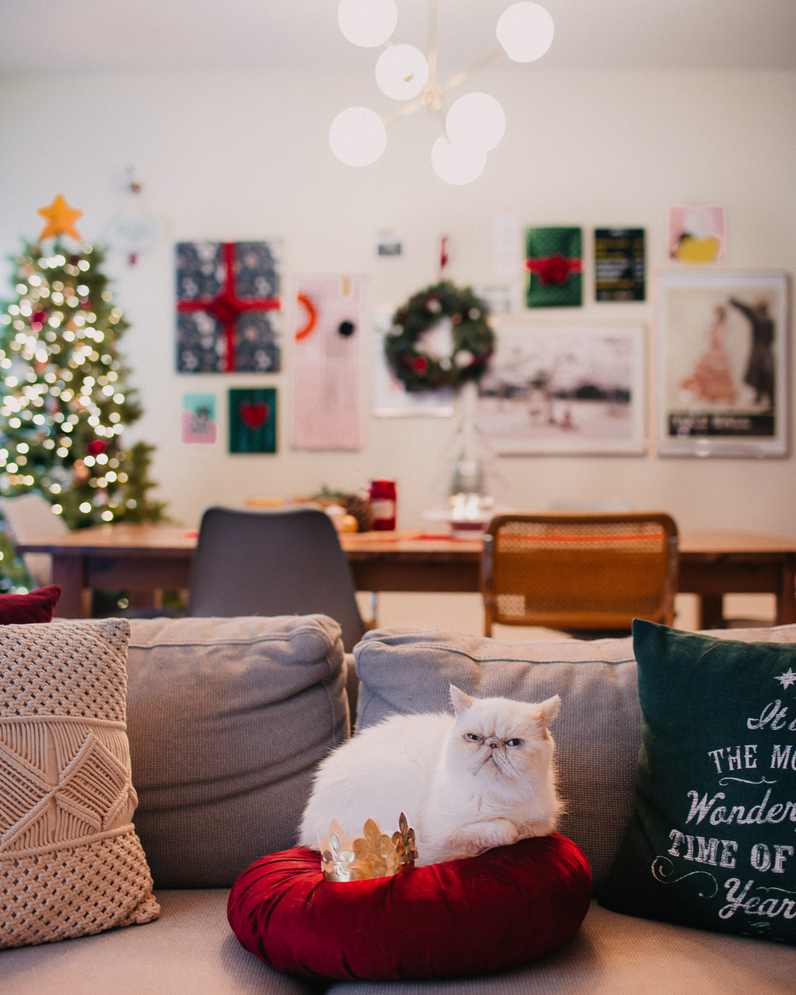 Christmas 2020 home decor - The cat, you and us