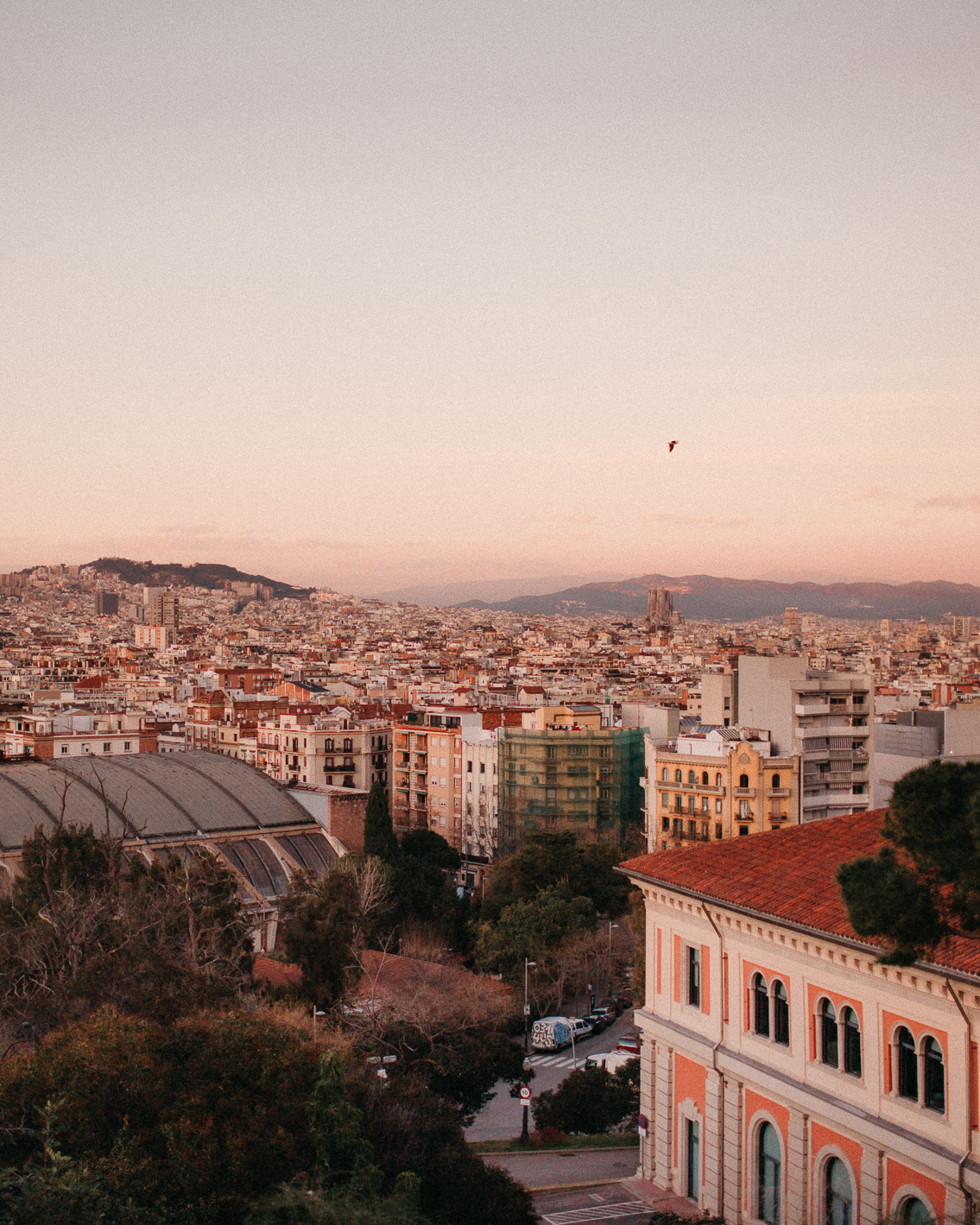 Sunset Montjuic Barcelona 2021 - The cat, you and us