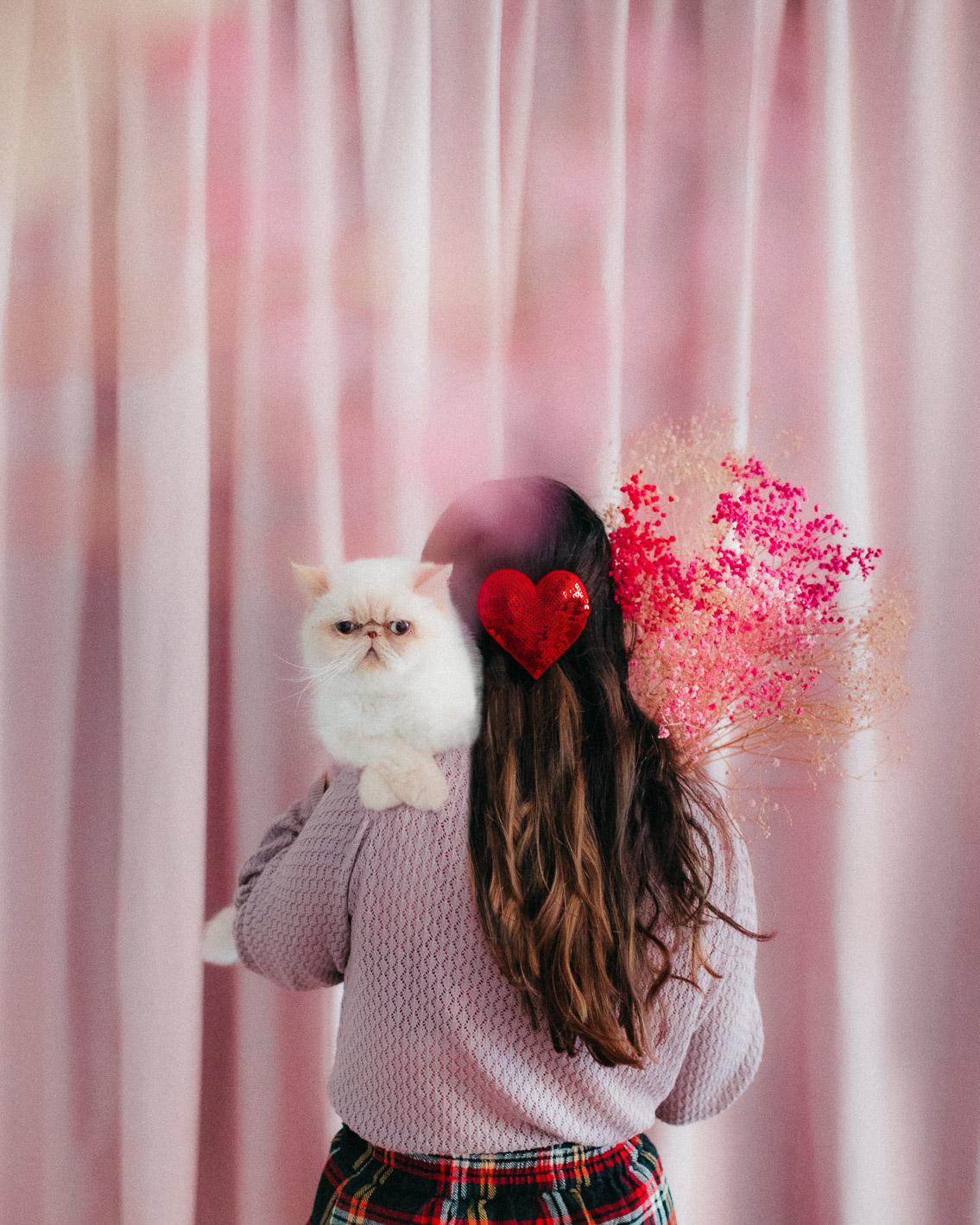 Pink curtains, pastel home - The cat, you and us