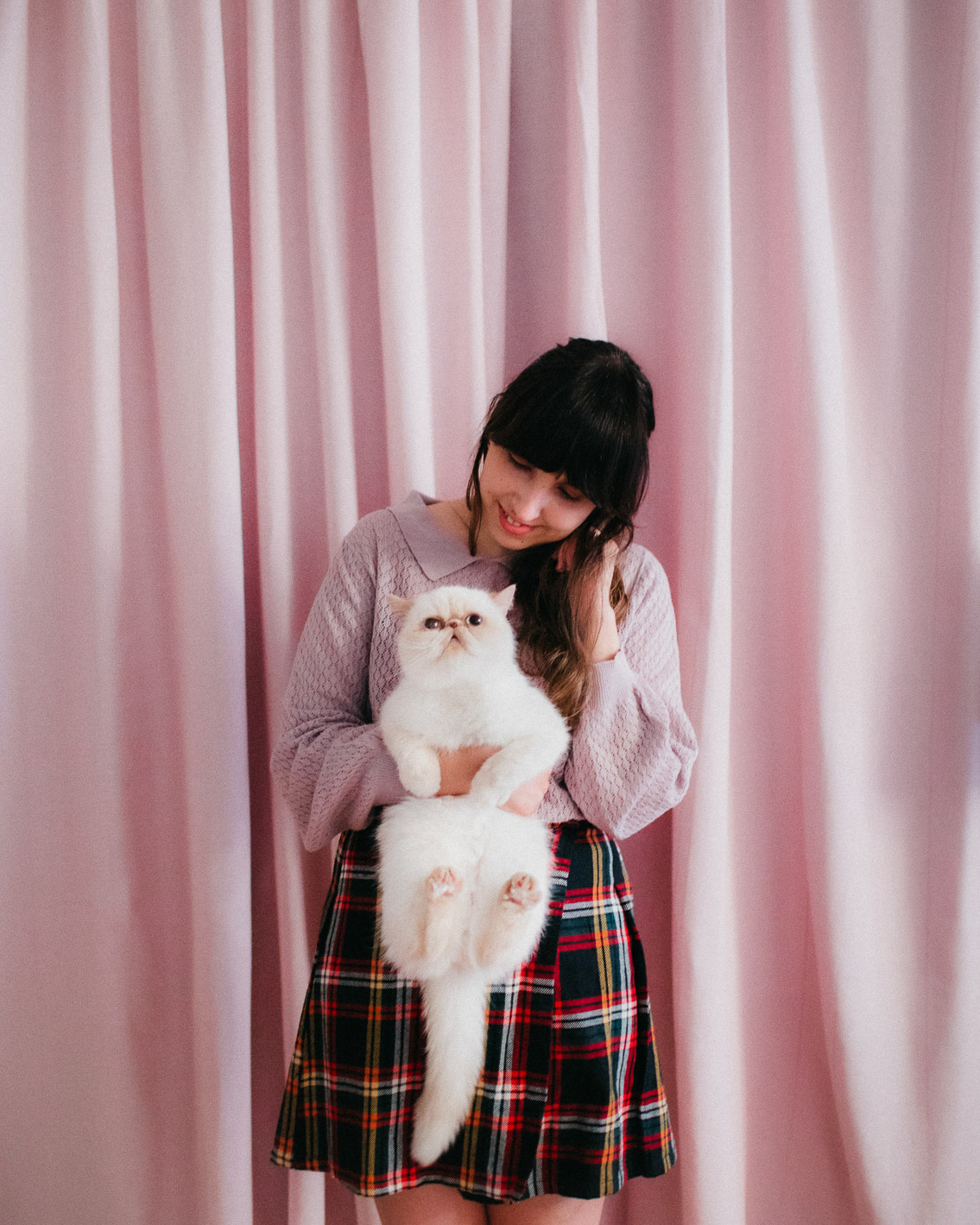 Pink curtains, pastel home - The cat, you and us