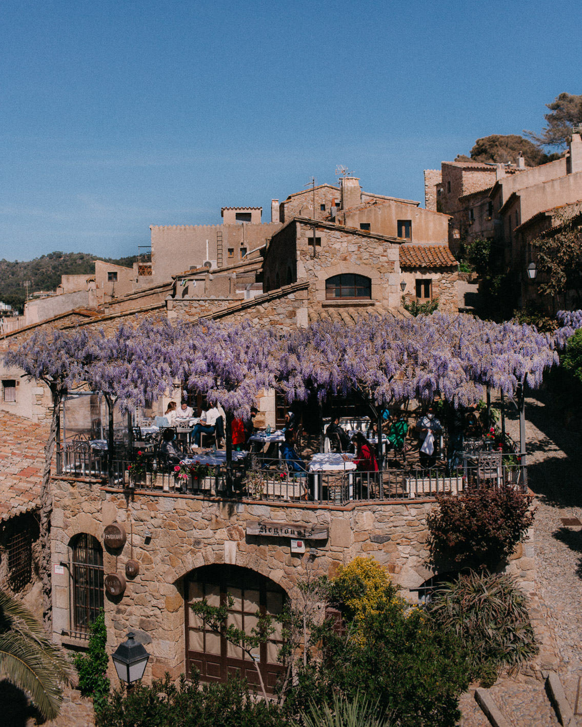 Tossa de Mar - The cat, you and us