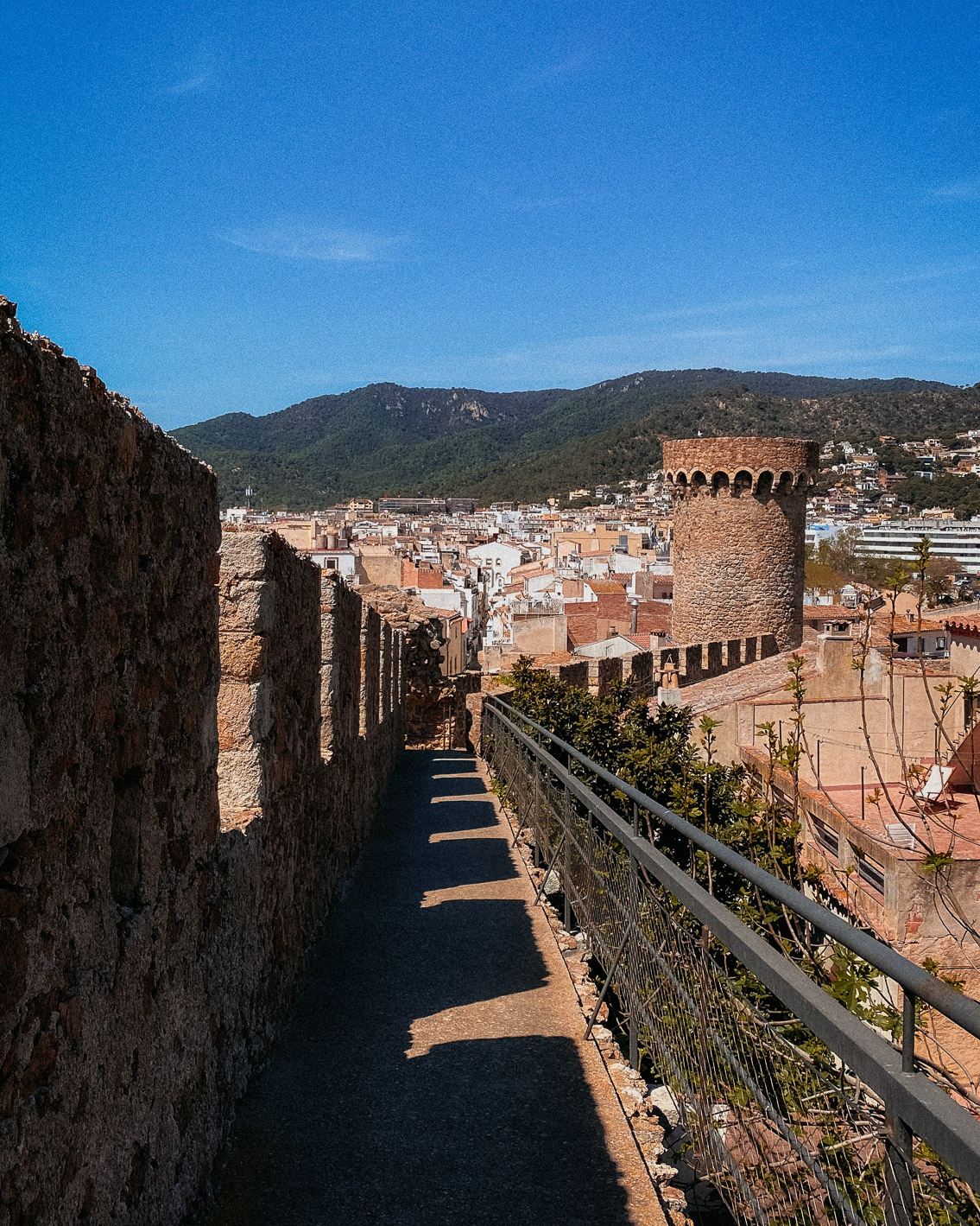 Tossa de Mar the moors - The cat, you and us