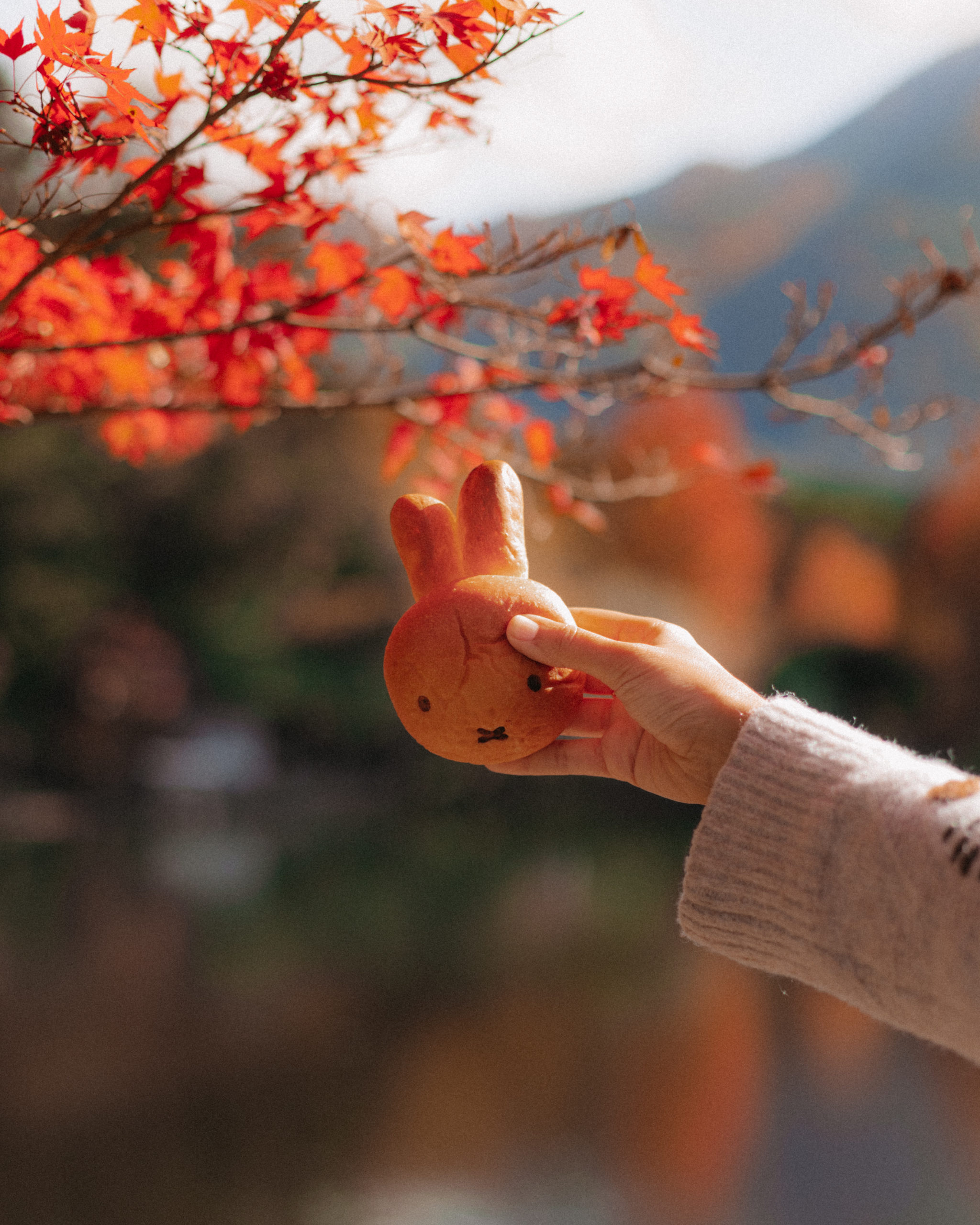 Miffy bakery Yufuin - The cat, you and us