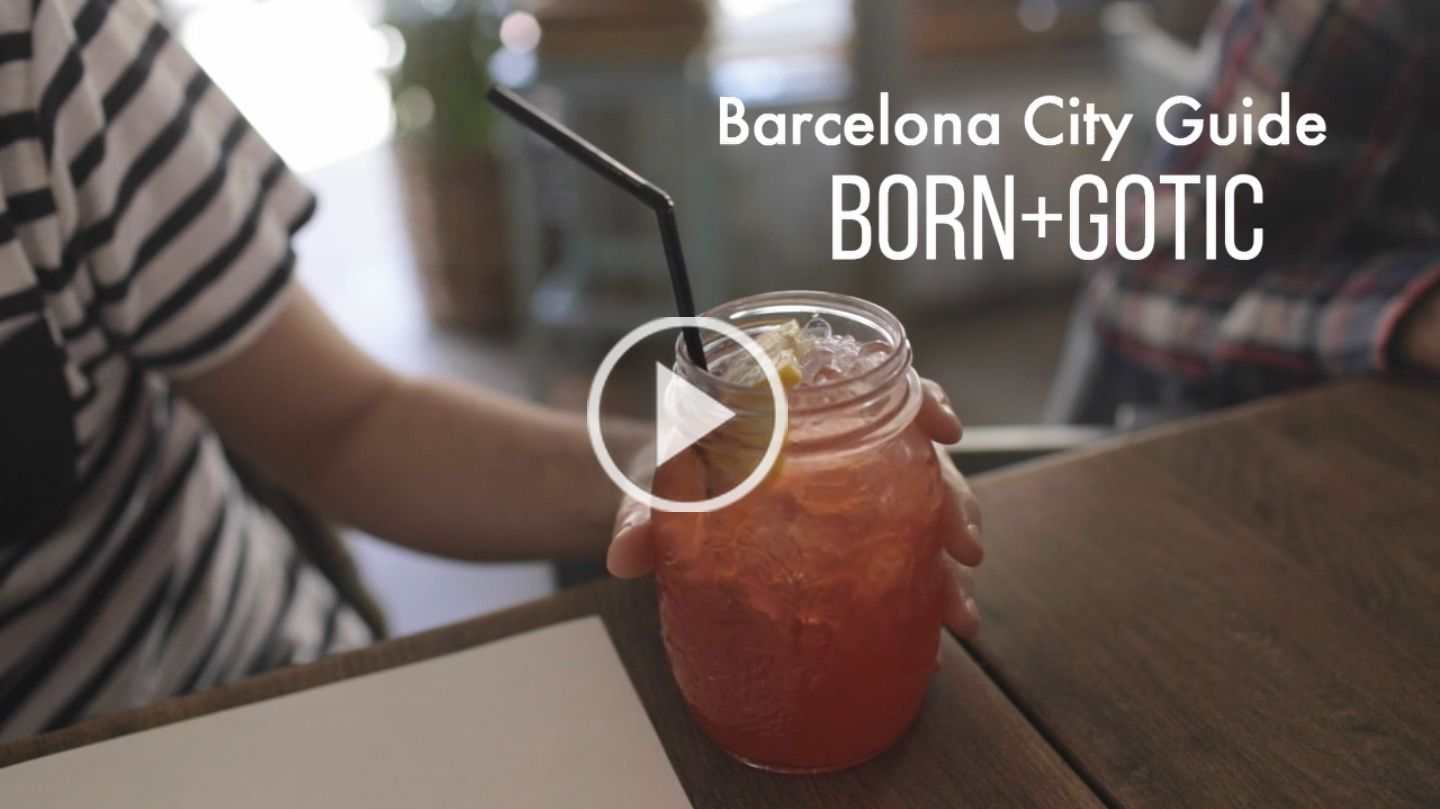 Barcelona City Guide - The cat, you and us